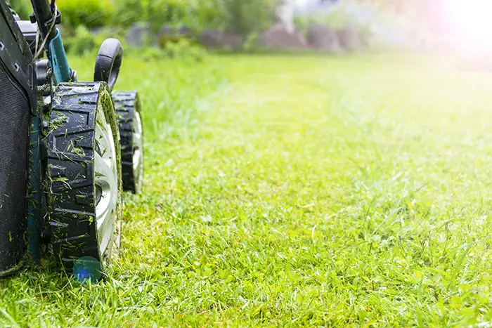 Can You Mow Wet Grass in Lee's Summit, MO