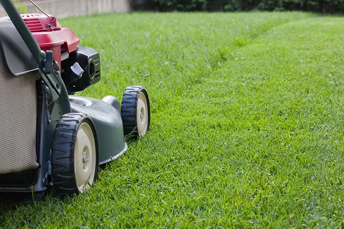 How to Mow a Lawn in Lee's Summit, MO