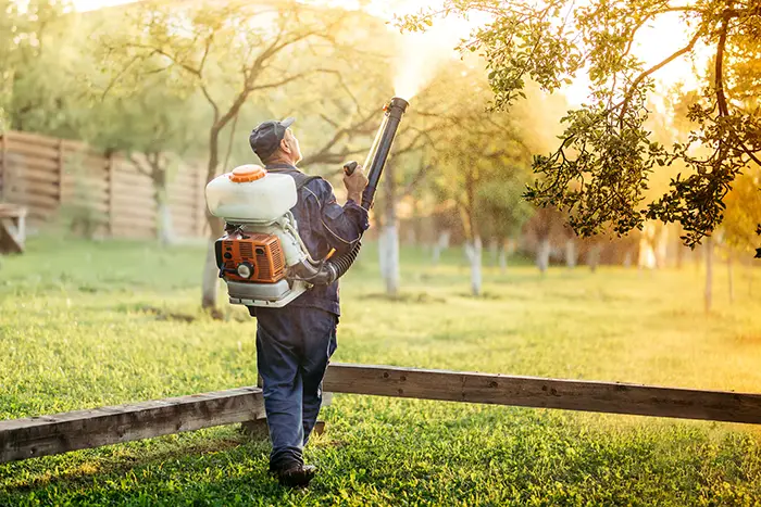 When is the best time to fertilize your lawn in Lee's Summit, MO