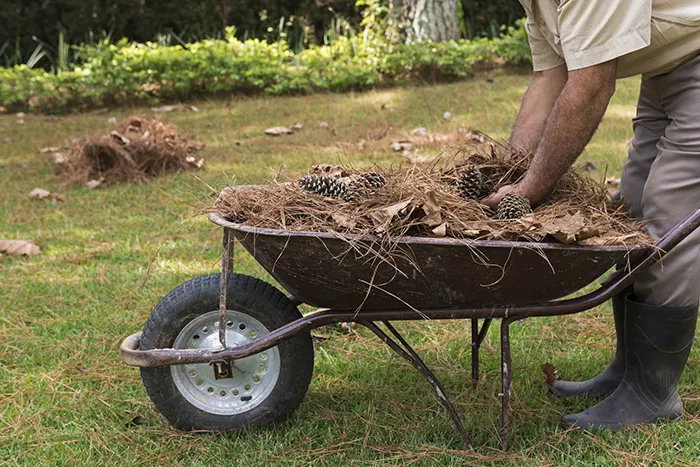 How To Clean A Backyard in Lee's Summit, MO