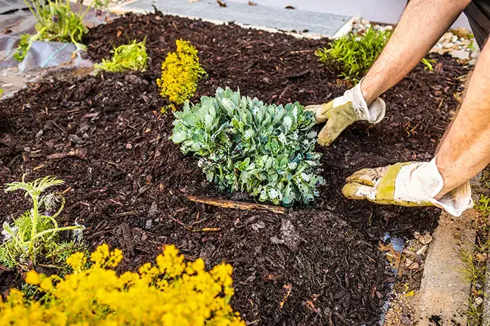 How long does mulch last  in Lee's Summit, MO