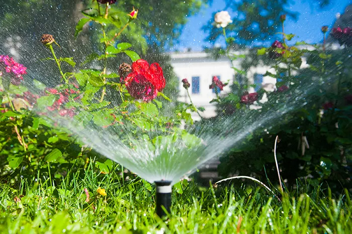 Yard Irrigation Installation