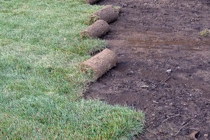 Sod Installation in Lee's Summit, MO