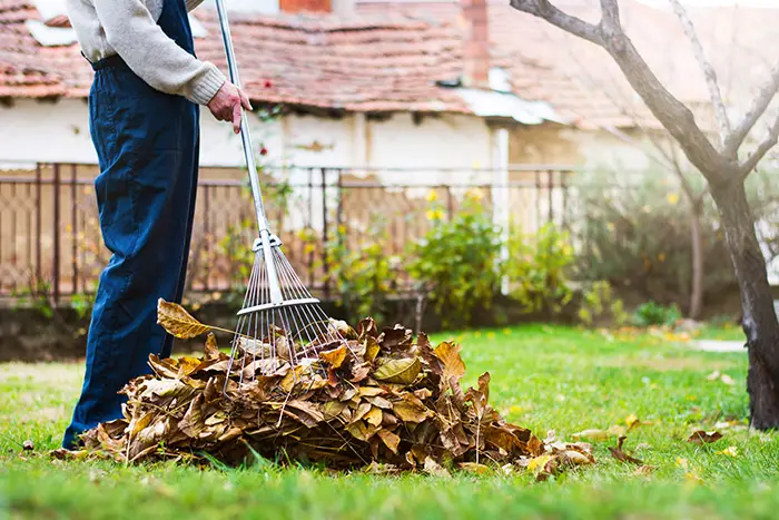 Yard Cleanup in Lee's Summit, MO