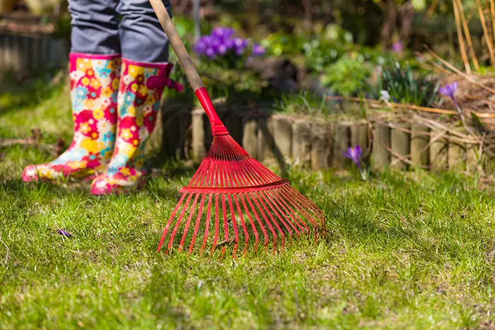 Yard Cleanup in Lee's Summit, MO