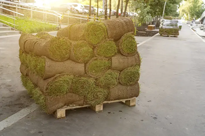 How to lay sod over existing lawn  Lee's Summit, MO